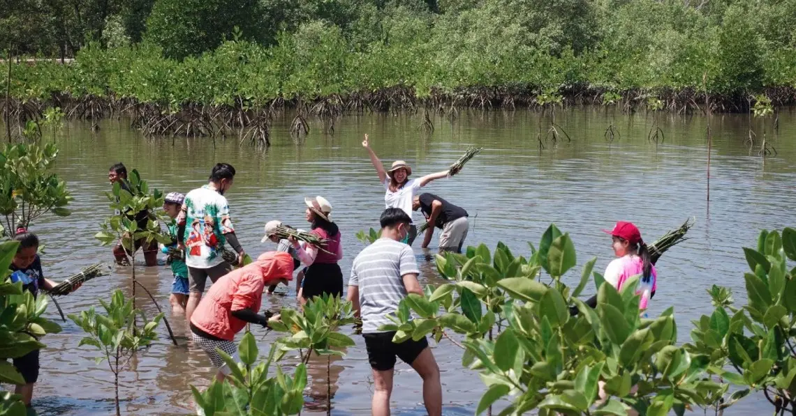 JLED does social activities.