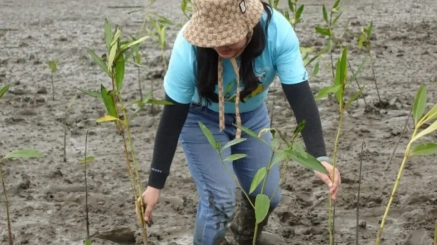 JLED shares happiness with tree planting activities 12