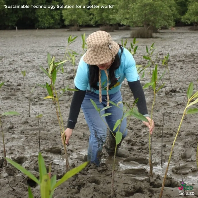 JLED shares happiness with tree planting activities 12