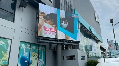 จอ Outdoor โรงแรมแมว