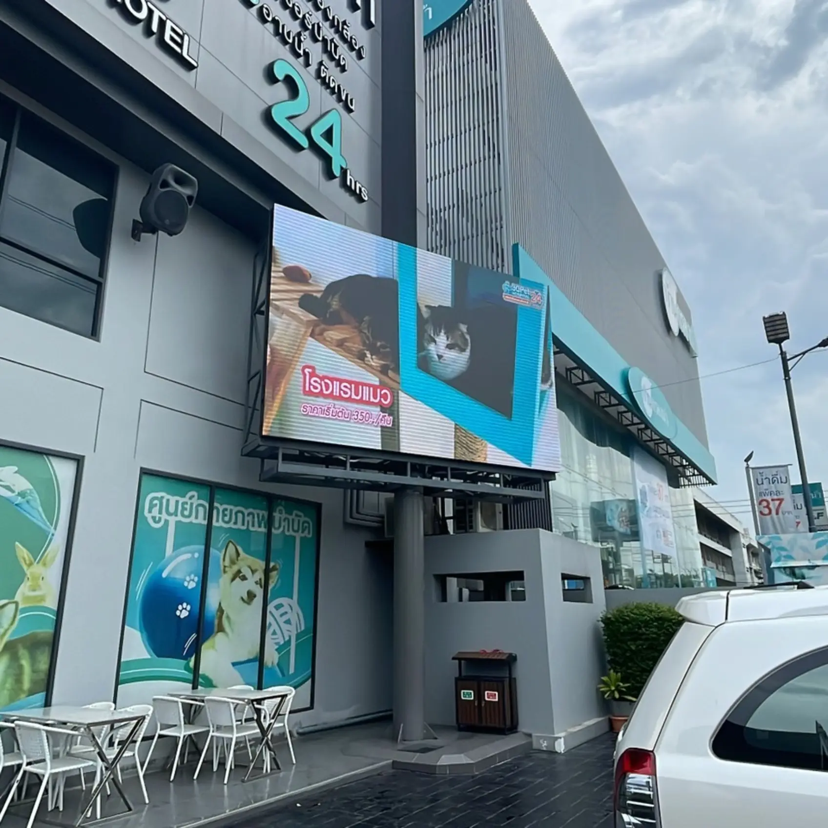 จอ Outdoor โรงแรมแมว