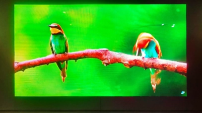 จอ LED Indoor โรงเรียนหอวัง